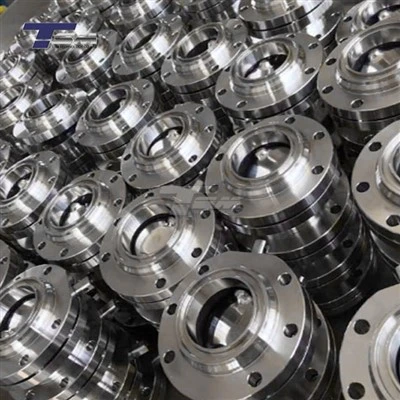 ANSI B16.5 Welding Neck Titanium Flange