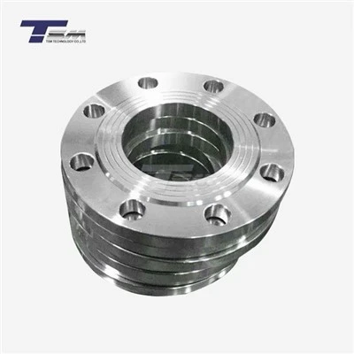 EN 1092-1 Type 01 Plate Flange Titanium